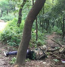 国产树林野战在线播放,热血激战，在线热血沸腾